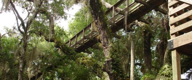 canopy20walkway20suspension20bridge20myakka20river20sp